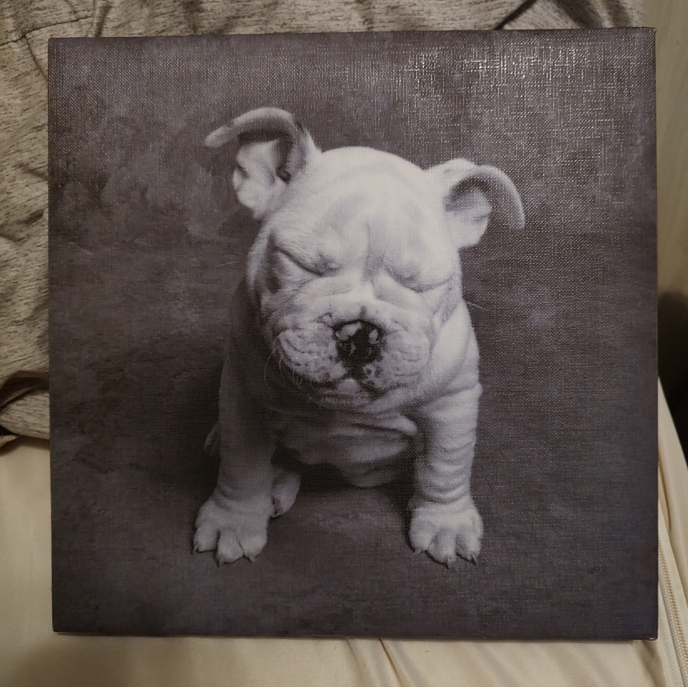 Puppy Canvas Wall Art